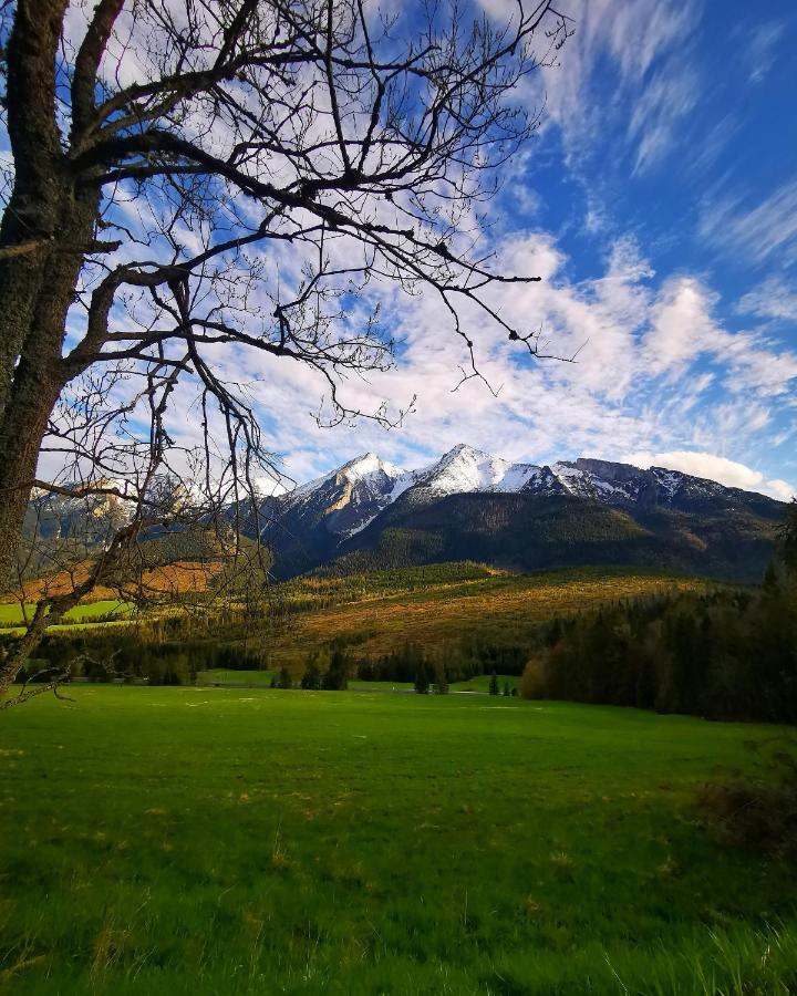 Chalupka U Lisky Elisky Villa Ždiar Buitenkant foto