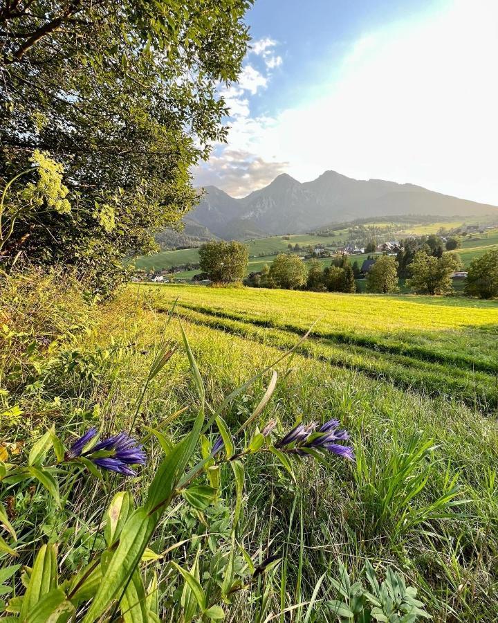 Chalupka U Lisky Elisky Villa Ždiar Buitenkant foto
